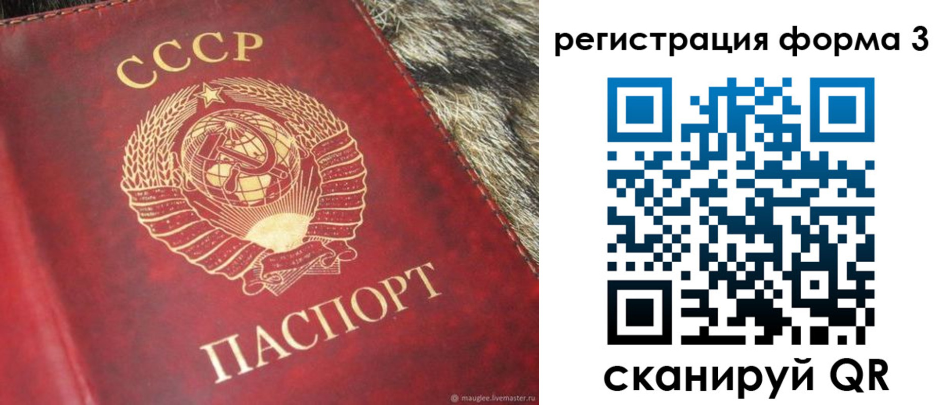 прописка регистрация в Саранске